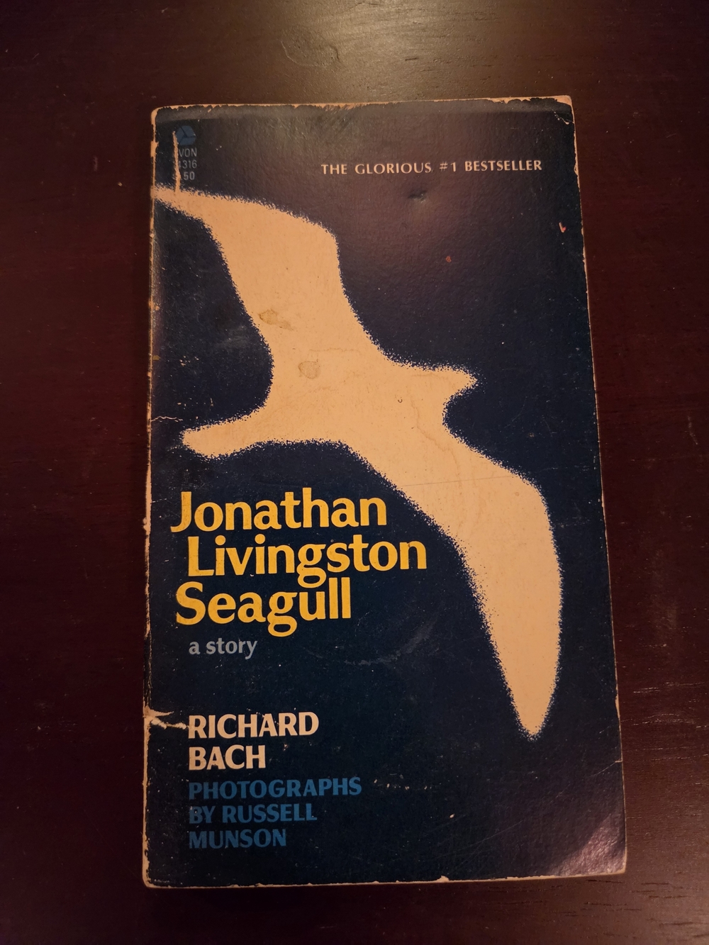 Jonathan Livingston Seagill by Richard Bach
